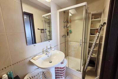 Apartament cu 3 camere decomandat în Ultimul leu - 10