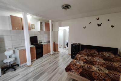 Garsoniera frumoasa la mansarda - 3