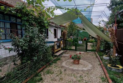 Casă cu 3 camere în Lotrioara - 4