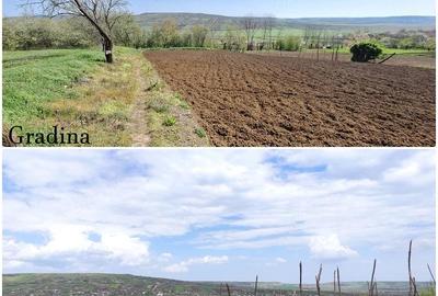 Casă cu 3 camere cu Teren 1947 Mp în Bâcu - 3