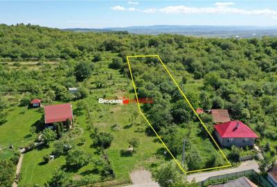 TEREN PENTRU CONSTRUCTIE REZIDENTIALA | 2878 MP | PODGORIA - 2