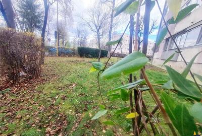 In proximitatea Parcului Coral, garsoniera renovabila, cartier linistit si verde, Calea Bucuresti - 3