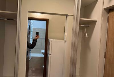 Garsonieră decomandată în Tei - 2