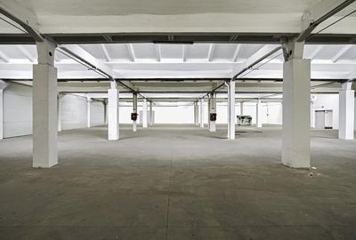 Hala Industriala de inchiriat 1.174 mp cu rampa egalizatoare, Arad - 2