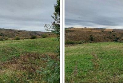 Teren de 3580 mp, în Ardeoani - 7