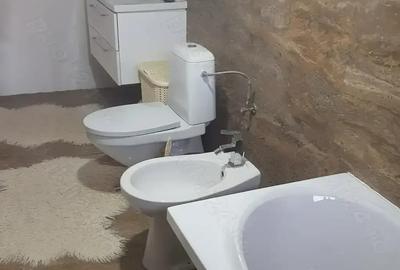 Proprietar vanzare casa 2 nivele renovata linga Stei, 200mp+beci 20m+ sura 90mp+ curte+teren 4 ari - 7
