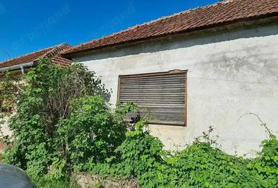 Vand casa in jude?ul Arad - 2