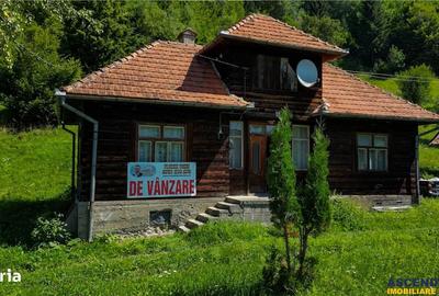 Casă cu 2 camere decomandat cu Teren 4300 Mp în Bran - 17