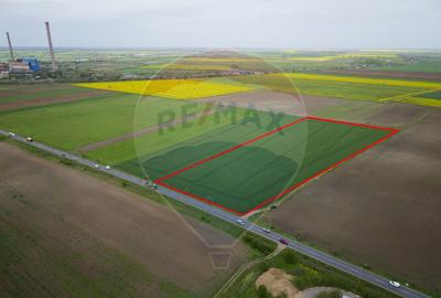 Teren 30,000mp Arad / Soseaua Centura Arad Nord - 2