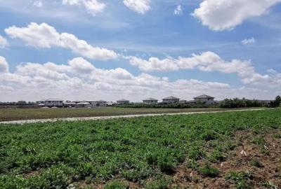 Balotesti 2 loturi de 1400mp, 2 loturi a cate 750mp - 9