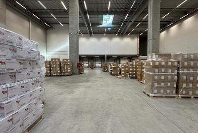 Spatiu depozitare Dragomiresti - Deal A1 , Km. 13,5 - 9