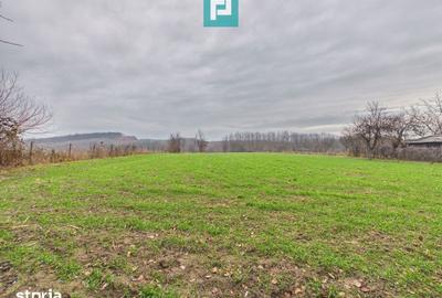 Casă cu 5 camere cu Teren 2837 Mp în Buteni - 12