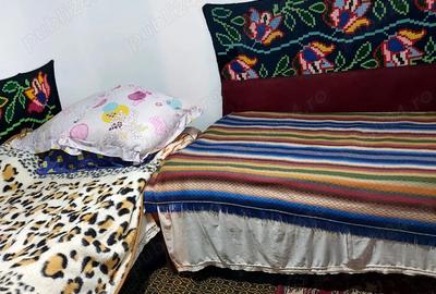 Casa batraneasca de vanzare - 5