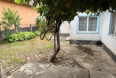 Casa de vanzare 114 mp cu pivnite, anexe si curte mare ,teren 1127 mp,Blaj - 1