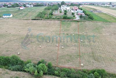 Teren Construcții intravilan de 1319 mp, în Cihei - 2