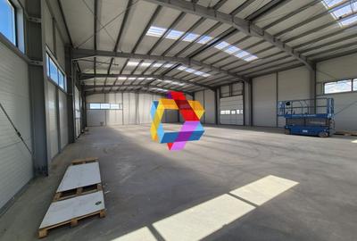 Hala - 1400 mp  # plus-imo.ro - 20