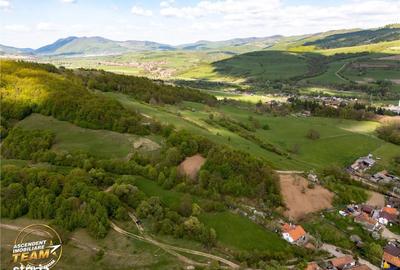 Spațiu comercial, în Malnaș - 14