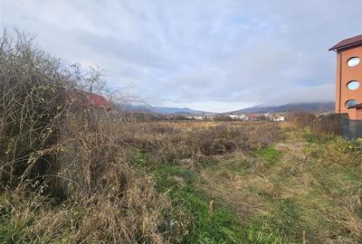 TEREN INTRAVILAN 10.700 mp  DE VANZARE  IN TG.OCNA - 5