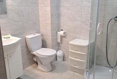 Apartament cu 2 camere semidecomandat în Central - 7