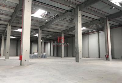 Spațiu comercial, de 10,000 mp, în Bolintin-Deal - 15