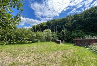 Teren Construcții intravilan de 1195 mp, în Făget - 3