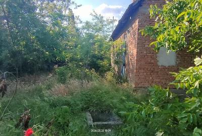 Casă cu Teren 300 Mp în Vinga