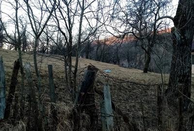Teren de 1600 mp, în Lunca (Moroeni) - 3