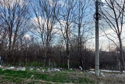 Teren de 1500 mp, în Livada - 2
