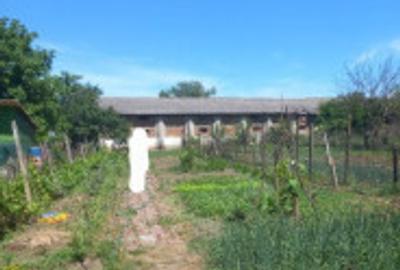 Teren de 730 mp, în Olari - 1