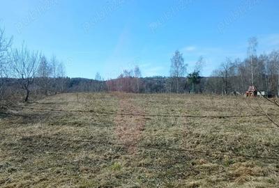 Teren de 6300 mp, în Râșca - 6