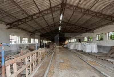 Ferma de Vanzare in judetul Timis, la nord est de Timisoara, - 27