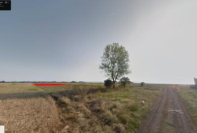 Teren Construcții intravilan de 690 mp, în Limanu - 2