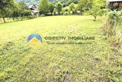 TEREN intravilan comuna TARCAU - STRAJA - 3