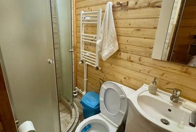 Teren Construcții de 600 mp, în Livezile - 9