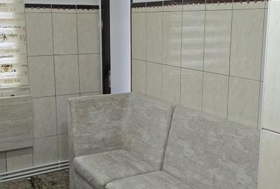 Apartament cu 2 camere decomandat în Paltin - 2