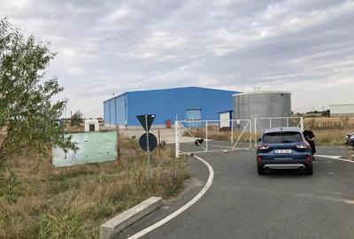 Hala / depozit la DN, constr. 2020, langa Timisoara, autorizata ISU - 6