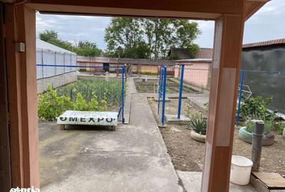 Casă cu 5 camere cu Teren 1000 Mp în Putineiu - 6