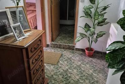 3 camere Exercitiu Teilor parter 78mp balcon 103000euro - 1