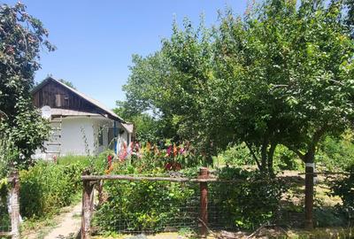 Casă cu 2 camere în Băltenii de Jos - 5