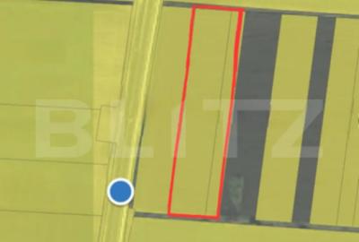 Teren de 16000 mp, în Sud - 2