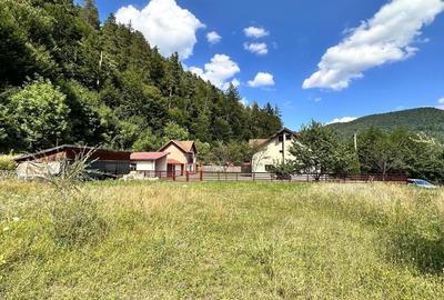 Teren Construcții intravilan de 4000 mp, în Brădet