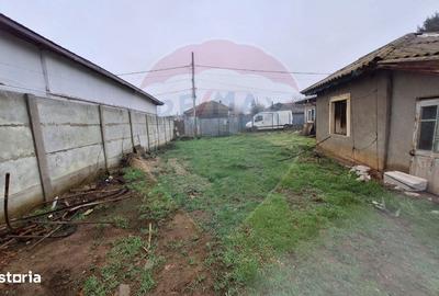 Teren de 808 mp, în Cernica - 5