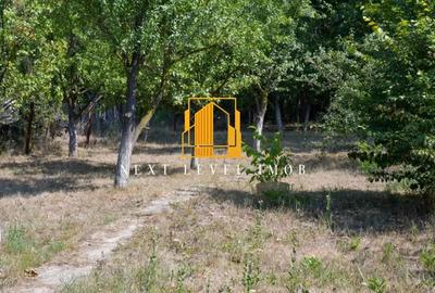 Doua case in aceea?i curte - BASCOV Doua case in aceea?i curte - BASCOV - 18