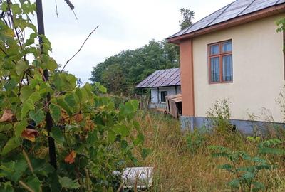 Casa si teren in jude?ul Valcea comuna Lade?ti sat Chirice?ti - 2