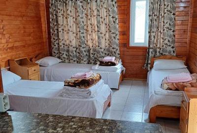 Spațiu comercial, de 250 mp, în Central - 10