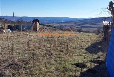 Teren de vanzare extravilan, Valea Chintaului  1000/? - 5