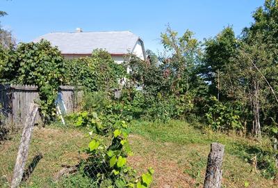 Casa+teren de vanzare in Adancata, Suceava - 4