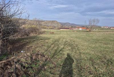 Vand teren in Orlat, judetul Sibiu 1500mp extravilan - 4