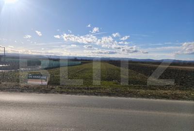 Teren intravilan ,4900 mp , 25ml front, Fratautii Vechi, Rad - 9