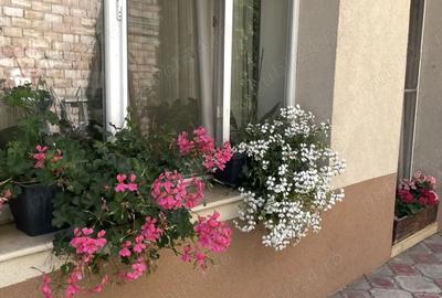 Casă cu 4 camere cu Teren 477 Mp în Fratelia - 8